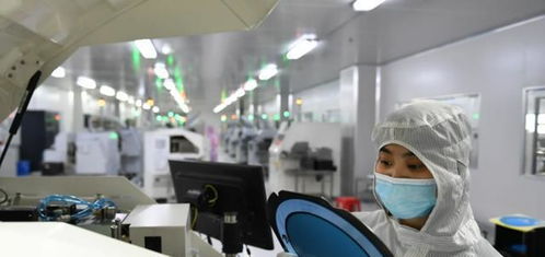 2.8萬億 臺積電 斷供 惡果出現, 中國院士倪光南說得很對